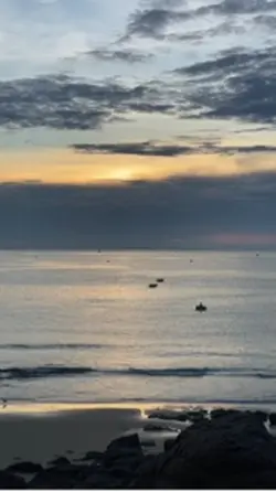 Vẫn đợi