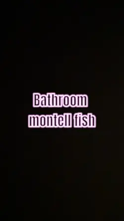 bathroom montell fis