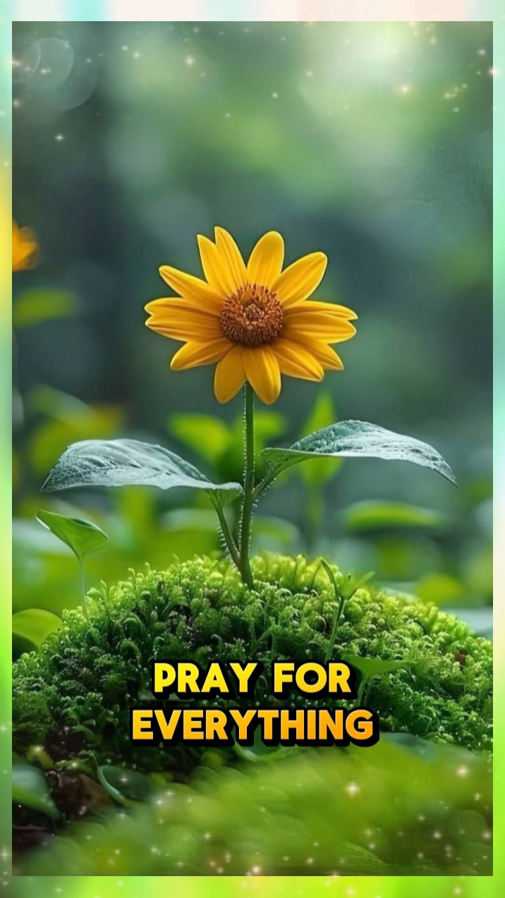 PRAY FOR EVERYTHING