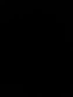 overlay template