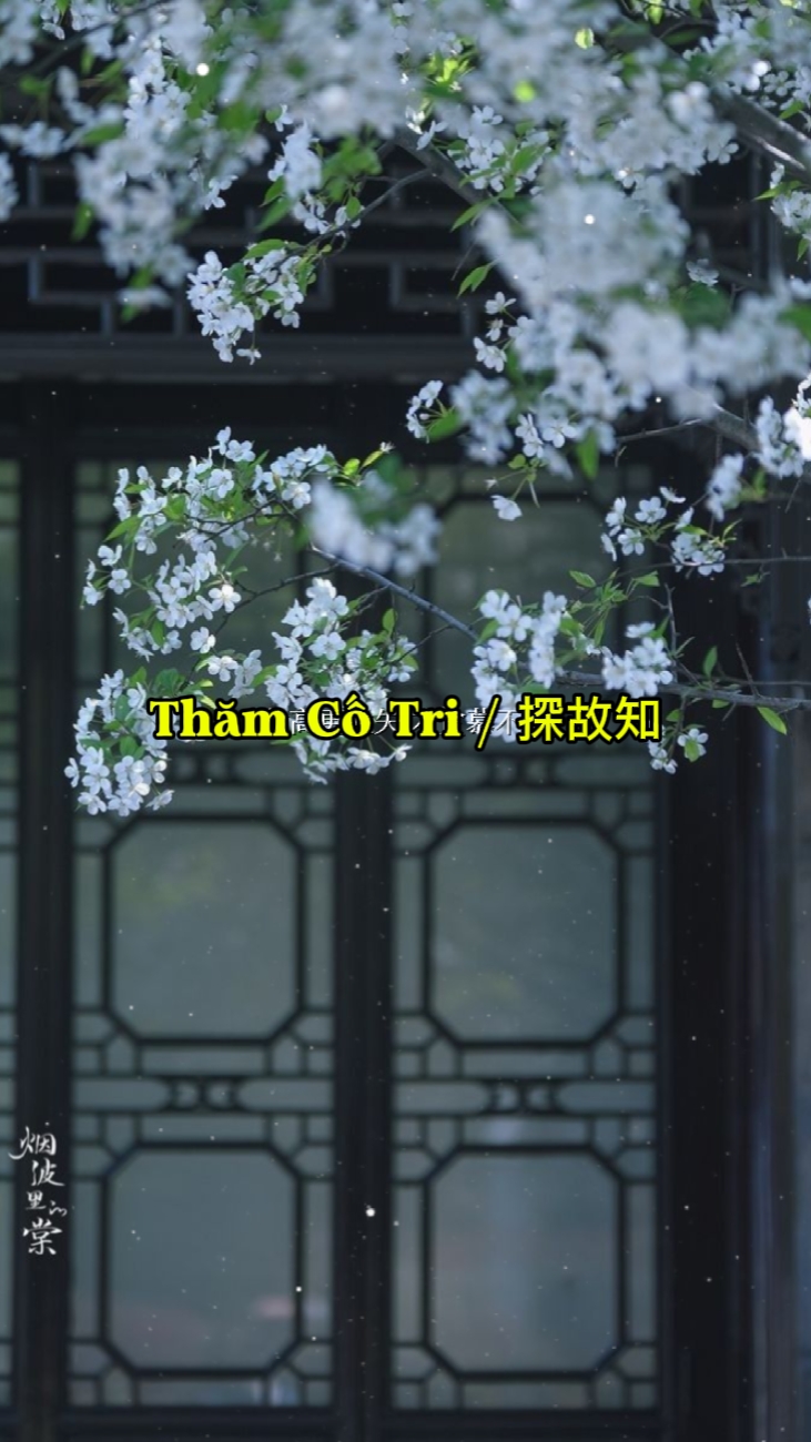 Thm CTri/