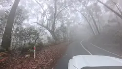 viral driving