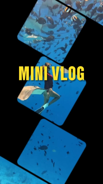 Mini vlog