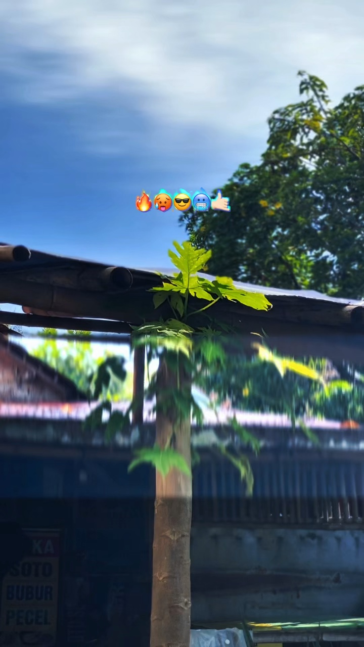 Hd Jernih • Blur 