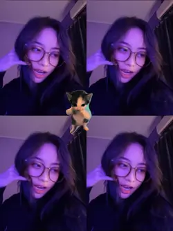 kicau mania