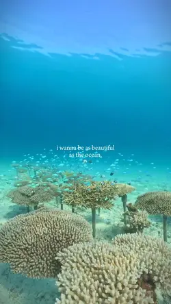 beautiful as ocean 