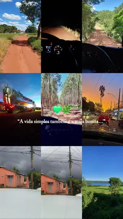simples e bonito
