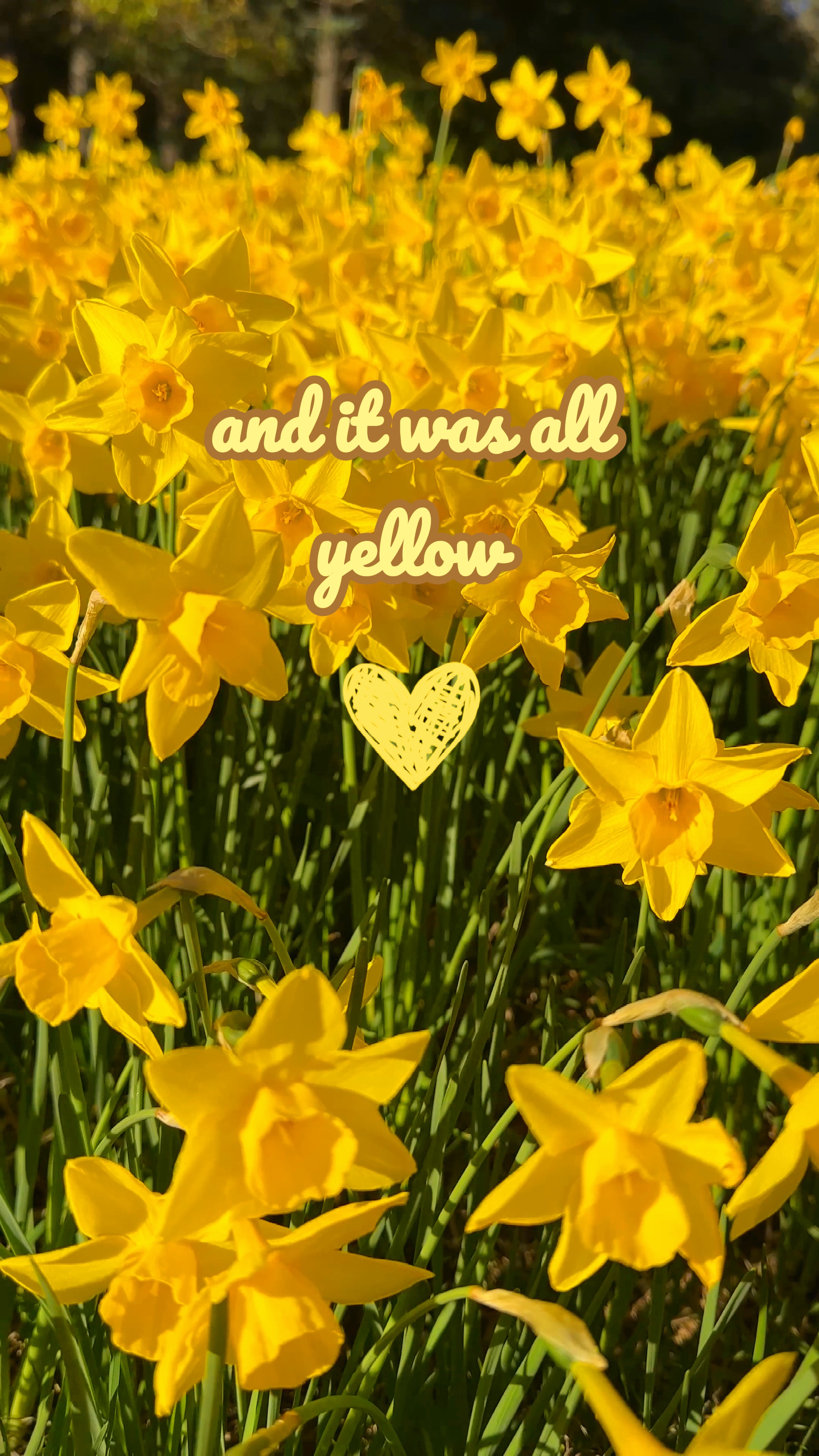 Amarelo