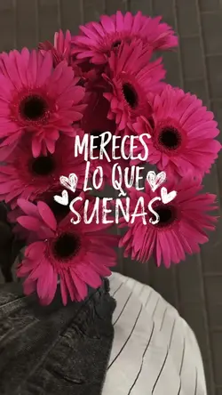 Mereces lo q sueñas🩷
