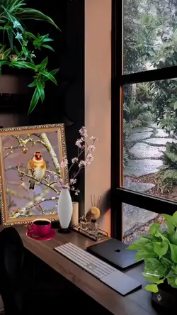 ᴘʜᴏᴛᴏ ғʀᴀᴍᴇ 🖼️