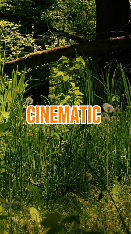CINEMATIC 