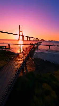 3 video or photo   |