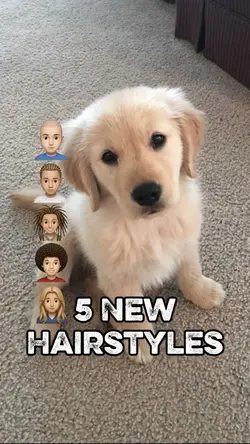 5 New Hairstyles
