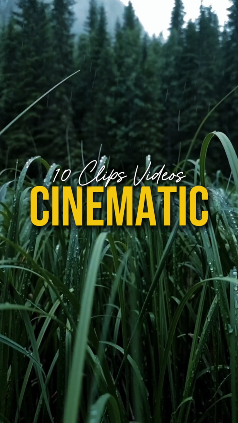 CINEMATIC 10 VIDEOS
