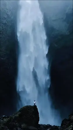 BINTANG DISURGA