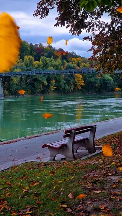 Autumn 