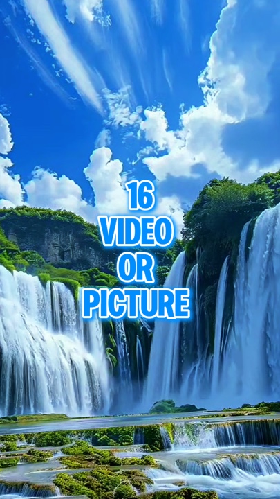 16 video or picture 