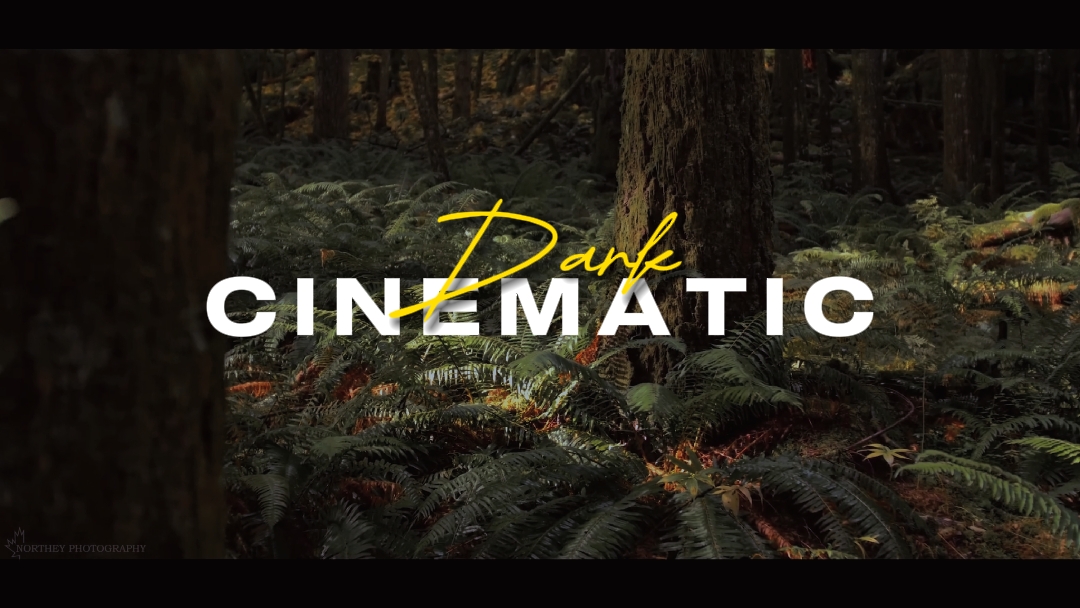 Dark Cinematic