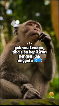 pengen jadi ?