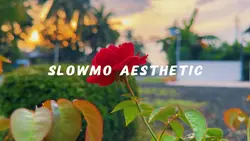 Slowmo Aesthetic