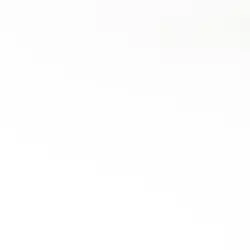 if u support ur dumb