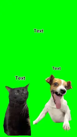 dog laugh