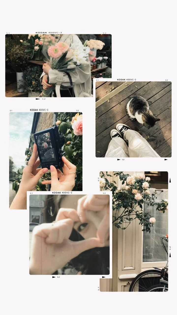 Frame aesthetic