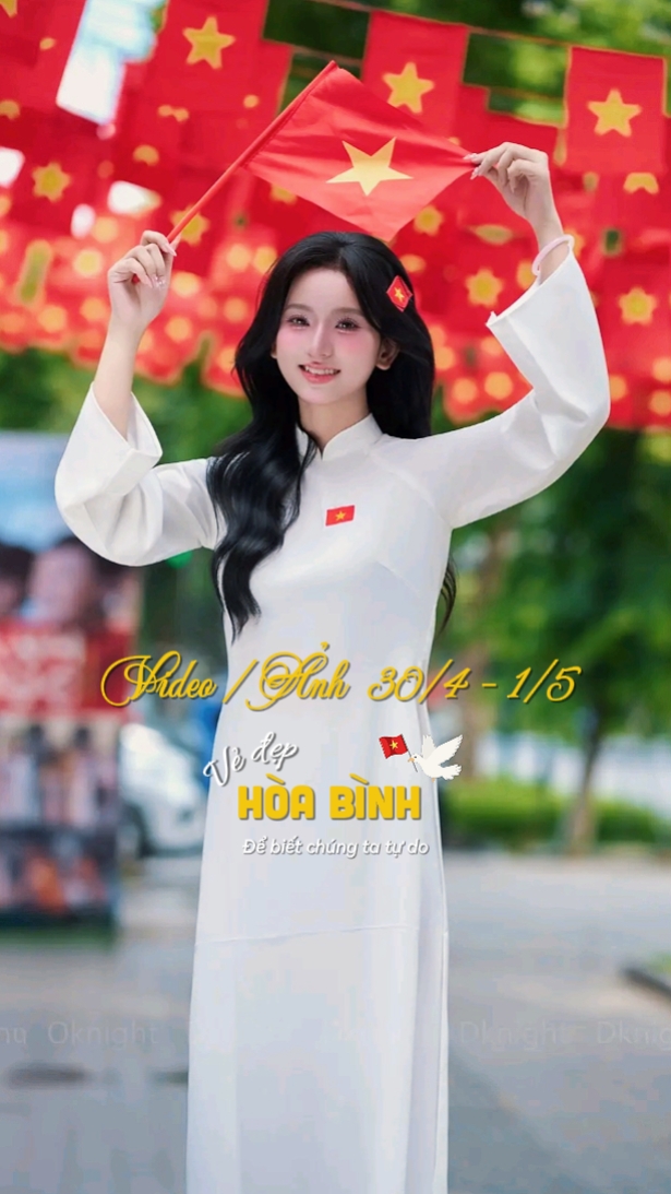 Việt Nam có một lá 