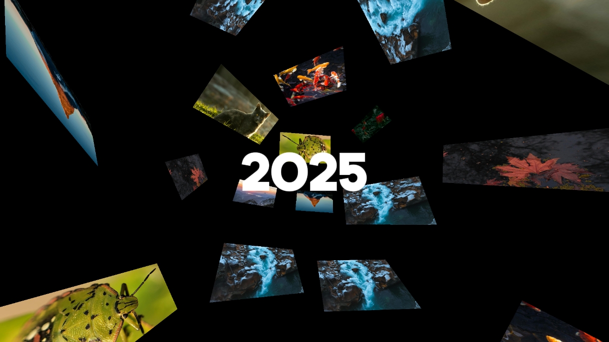 2025 in 9 Foto