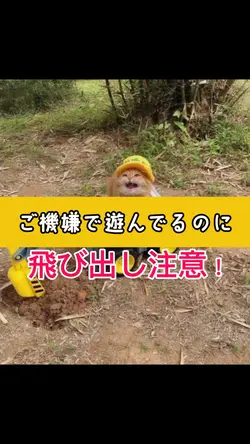 飛び出し注意！