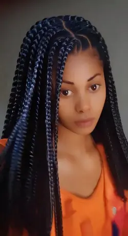Braids Hairstyle 