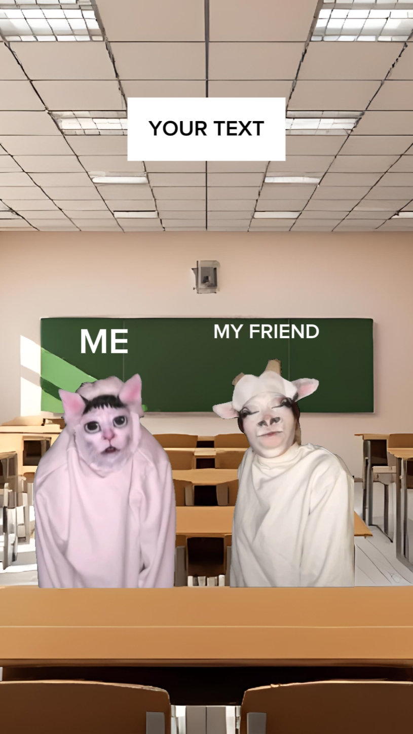 meme kucing