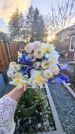 spring in bloom