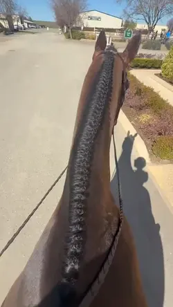 Hoof sounds π
