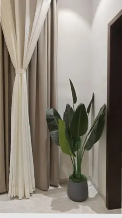 300