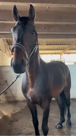 Gugu le plus beau 🤩