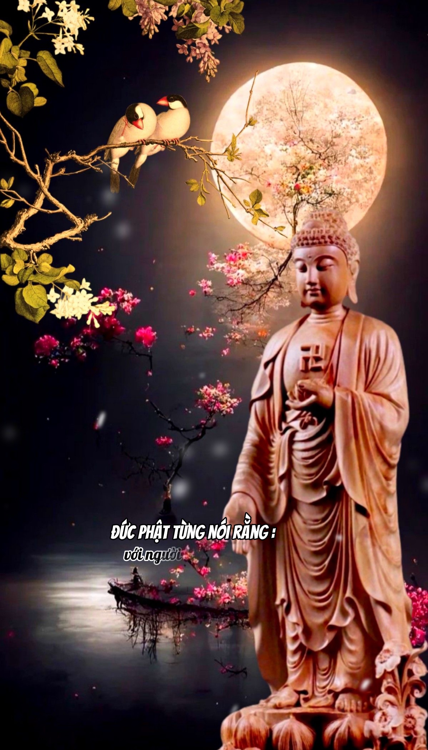 Đức Phật nói rằng 