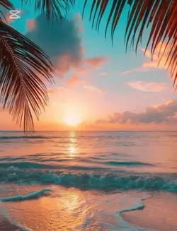 Beach vibes 
