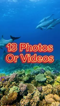 13 Photo Slides