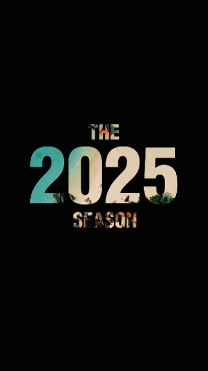 2025 Recap 
