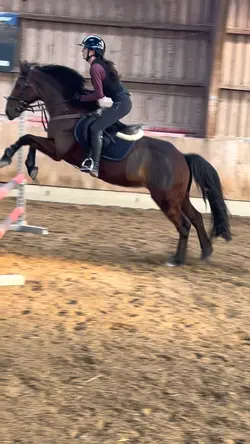 seat🚮pony🤩