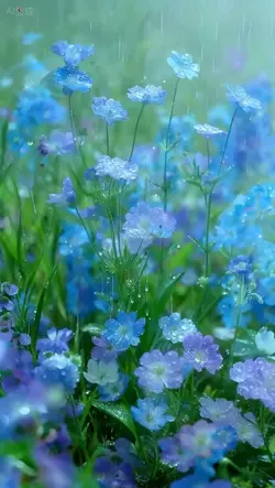 Ios26 wallpaper 