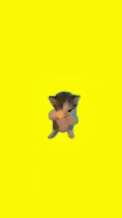 Mentahan Kucing Mani