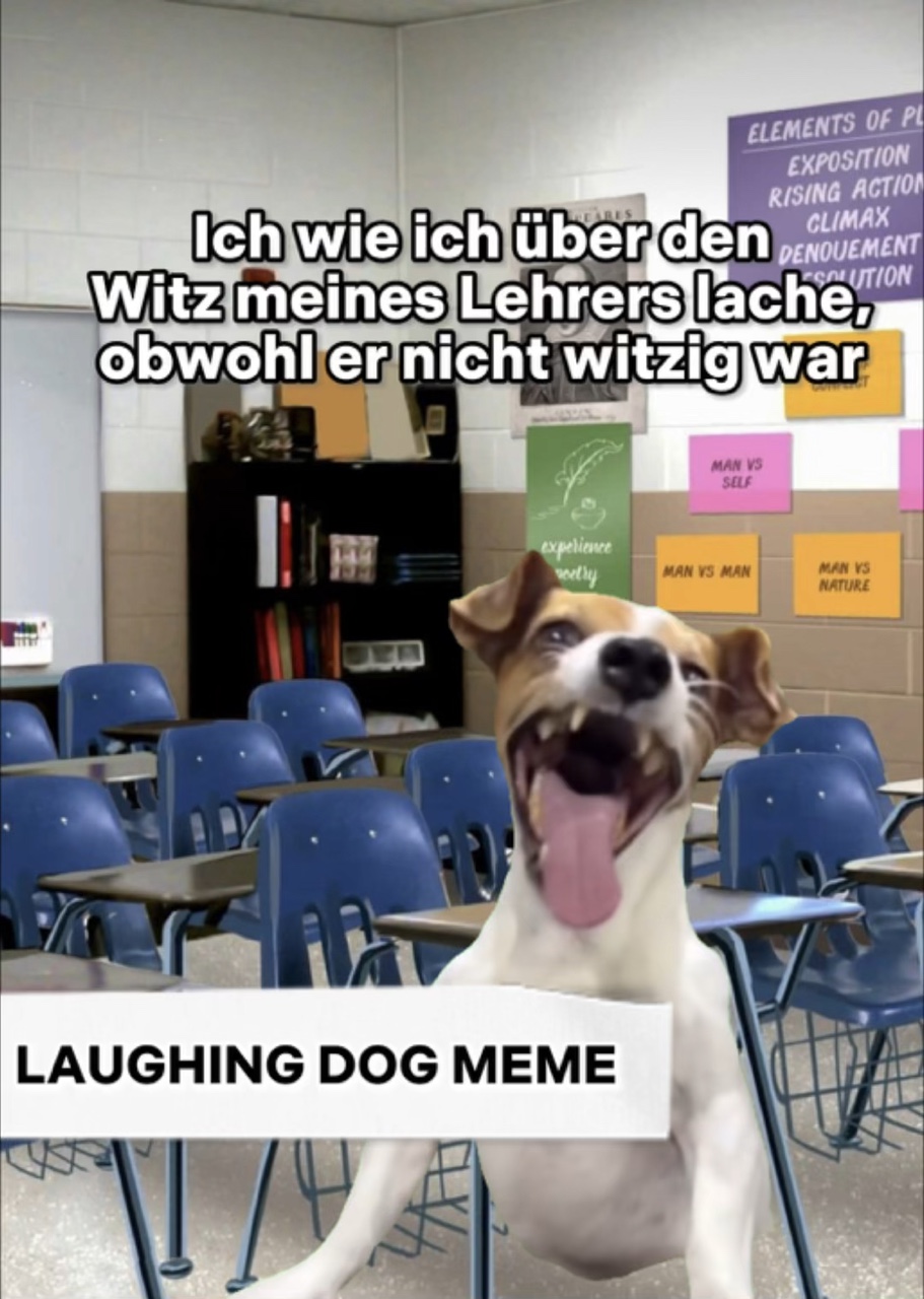 Dog Meme Greenscreen