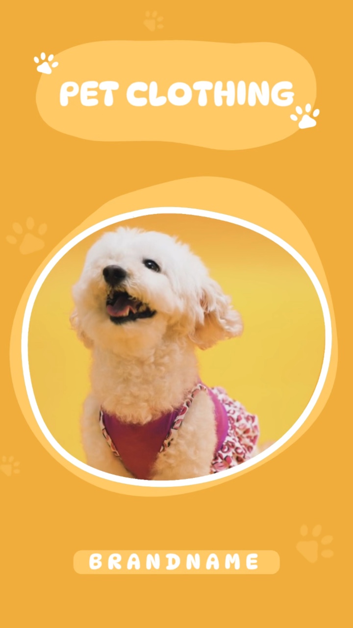 Promoção de roupas para animais de estimação Estilo TikTok