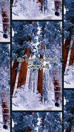 Beauty of Snowfall