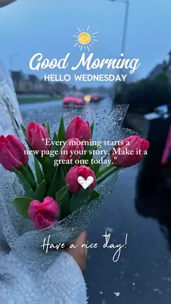 Good Morning 🌸