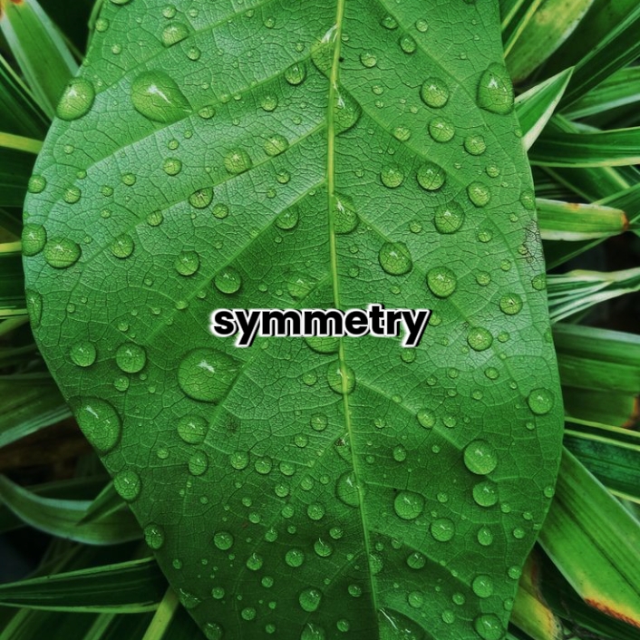 symmetry trend