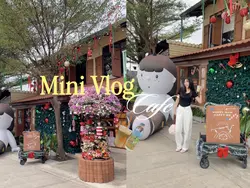 mini vlog 