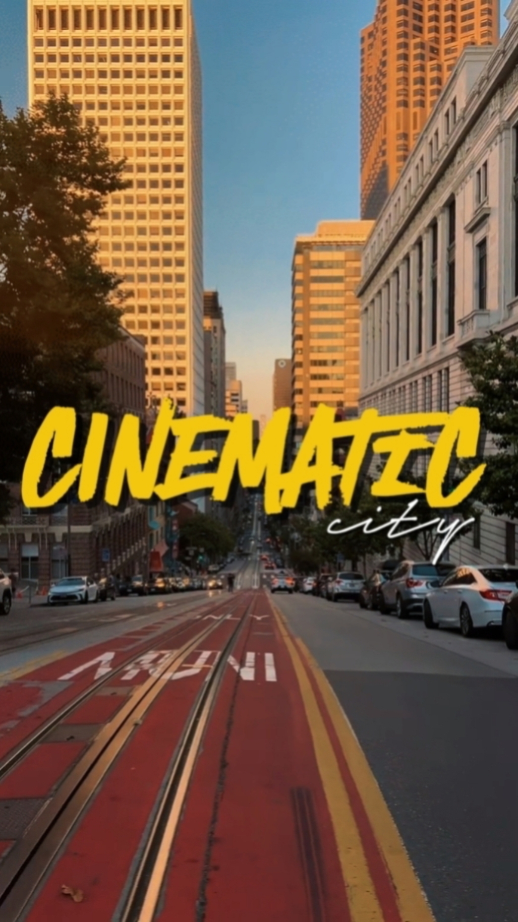 CIDADE CINEMÁTICA 